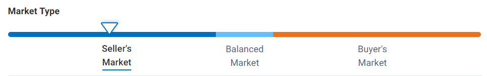 seller's market type
